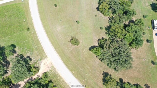 10289 Henley Cv, Iola, TX 77861