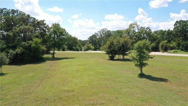 10289 Henley Cv, Iola, TX 77861
