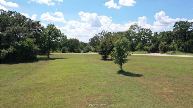 10289 Henley Cv, Iola, TX 77861