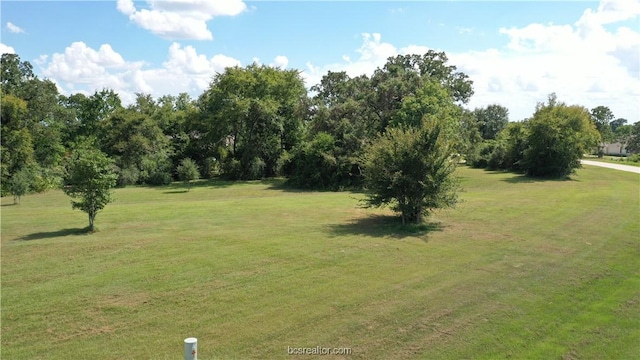 10289 Henley Cv, Iola, TX 77861