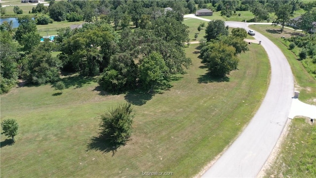 10289 Henley Cv, Iola, TX 77861