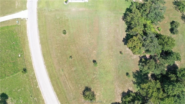10289 Henley Cv, Iola, TX 77861