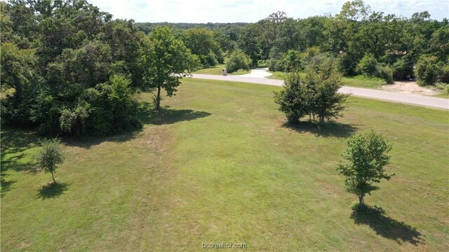 10289 Henley Cv, Iola, TX 77861