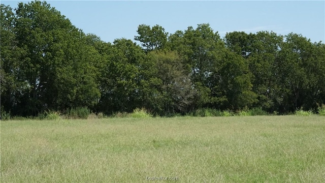 806 County Road 328, Caldwell TX, 77836 land for sale