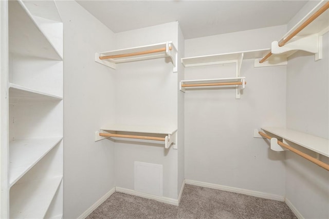 705 Summerglen Dr, College Station, TX 77840 - spacious closet with carpet floors