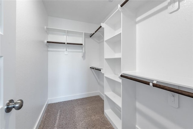 walk in closet featuring light carpet