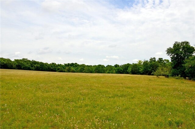 308 Pebble Loop Dr, Navasota, TX 77868 - photo 13