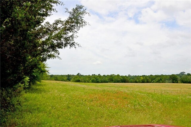 308 Pebble Loop Dr, Navasota, TX 77868 - photo 11