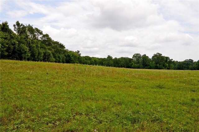308 Pebble Loop Dr, Navasota, TX 77868 - photo 29