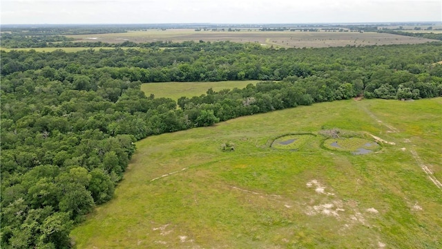 308 Pebble Loop Dr, Navasota, TX 77868 - photo 5