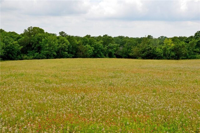 308 Pebble Loop Dr, Navasota, TX 77868 - photo 41