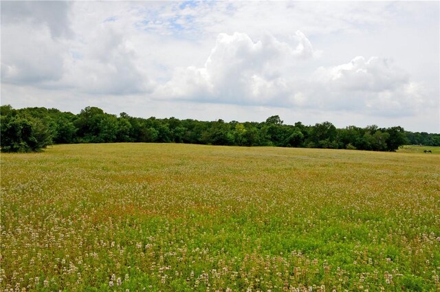 308 Pebble Loop Dr, Navasota, TX 77868 - photo 40