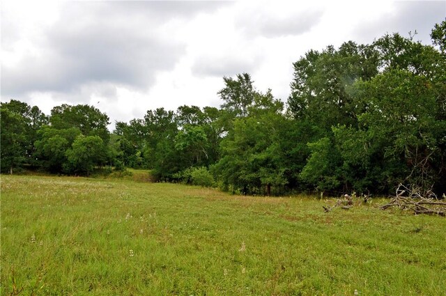 308 Pebble Loop Dr, Navasota, TX 77868 - photo 31