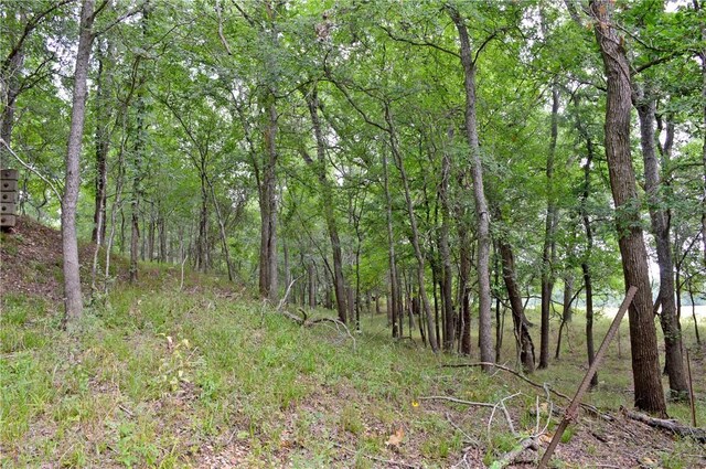 308 Pebble Loop Dr, Navasota, TX 77868 - photo 27