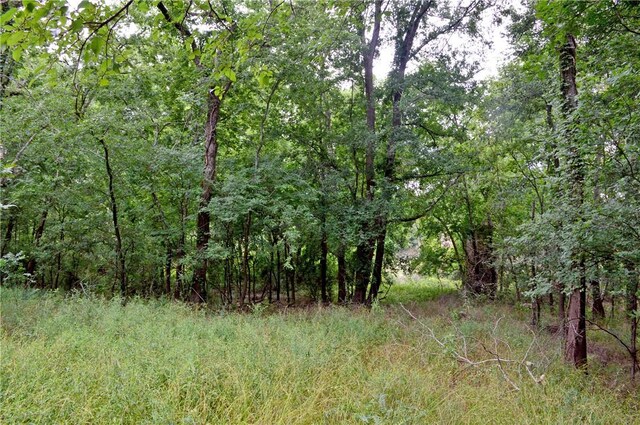 308 Pebble Loop Dr, Navasota, TX 77868 - photo 25