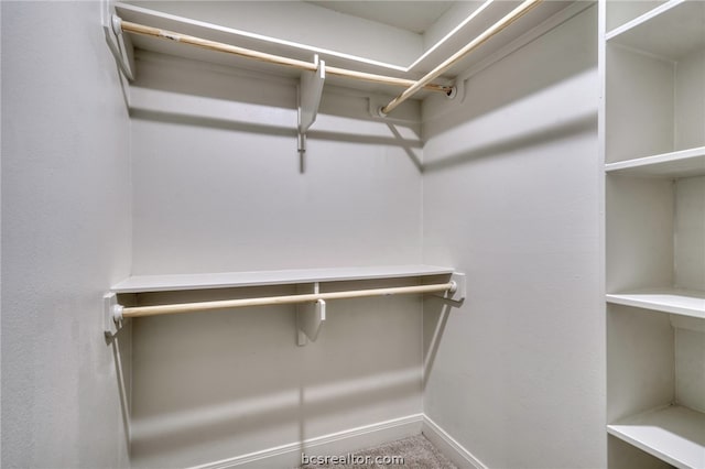 view of walk in closet