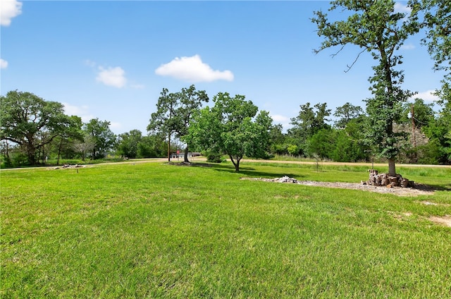 702 Birch Hollow Dr, Somerville, TX 77879 - photo 27