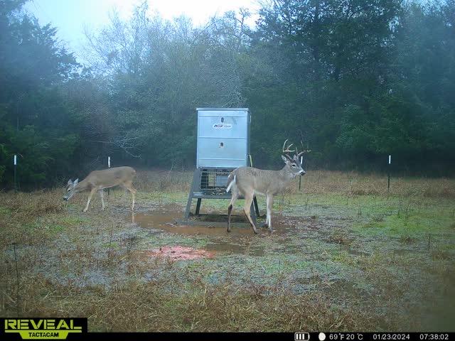 7855 County Road 318, Caldwell, TX 77836