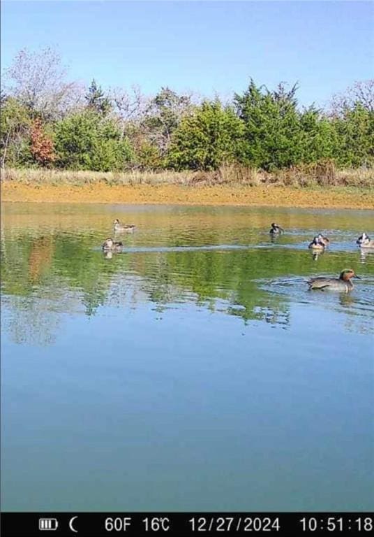 7855 County Road 318, Caldwell, TX 77836
