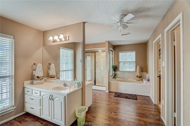 bathroom featuring vanity, wood-type flooring, a textured ceiling, and a healthy amount of sunlight