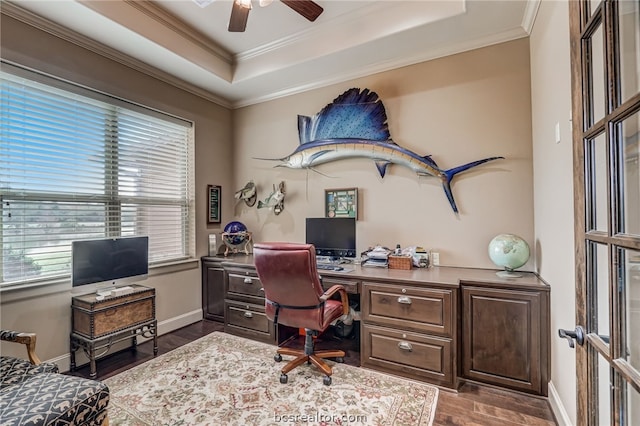 office space featuring a tray ceiling, crown molding, ceiling fan, and dark wood-type flooring