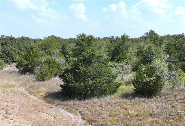 00 Sue Ln, Somerville, TX 77879 - photo 5