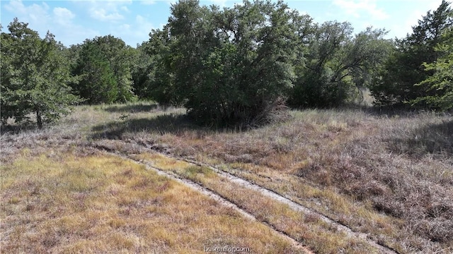 00 Sue Ln, Somerville TX, 77879 land for sale