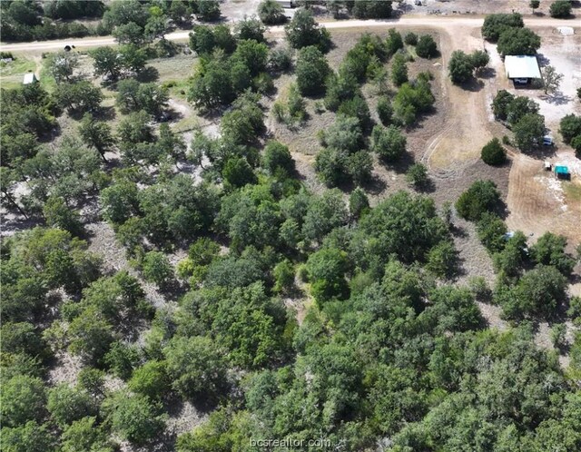 00 Sue Ln, Somerville, TX 77879 - photo 6