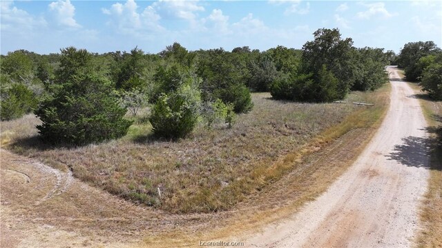 00 Sue Ln, Somerville, TX 77879 - photo 4