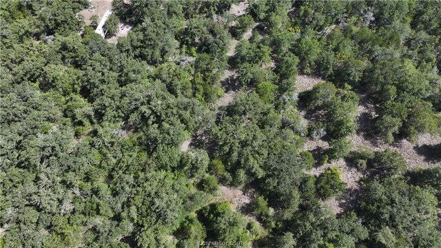 00 Sue Ln, Somerville, TX 77879 - photo 8