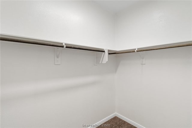 walk in closet featuring carpet floors