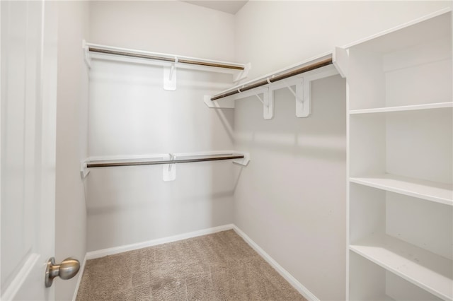 996 Marquis Dr, Bryan, TX 77803 - spacious closet with carpet floors