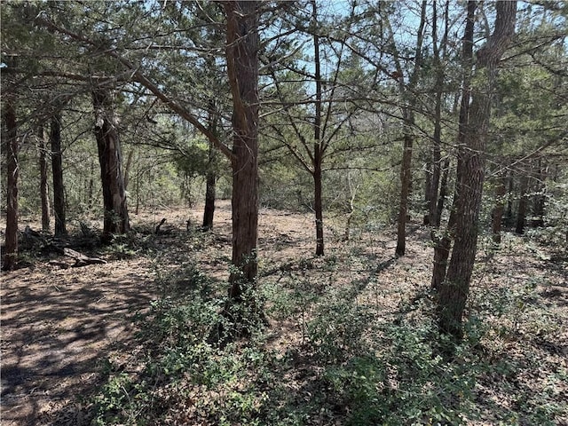 232 Wooded Trl, Somerville TX, 77879 land for sale