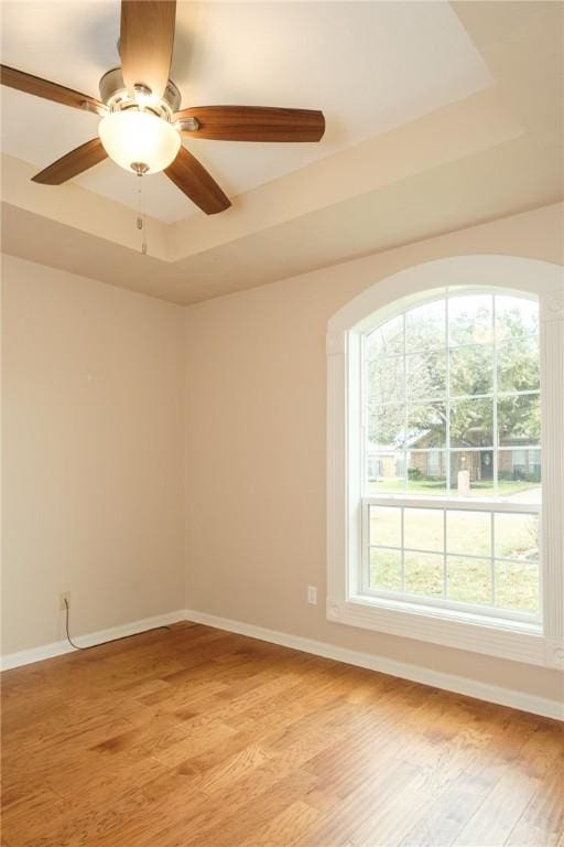 unfurnished room with a tray ceiling, light hardwood / wood-style floors, and ceiling fan