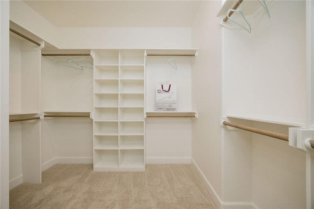 walk in closet featuring carpet floors