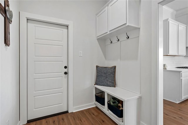 mudroom featuring dark hardwood / wood-style floors