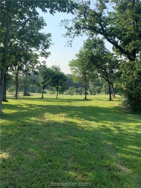 10256 Henley Cv, Iola TX, 77861 land for sale