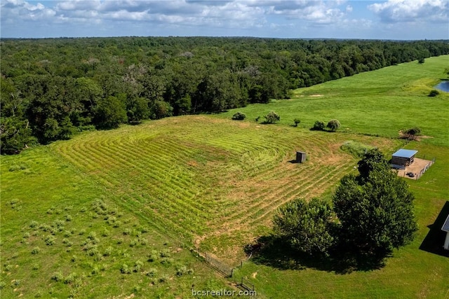 bird's eye view with a rural view