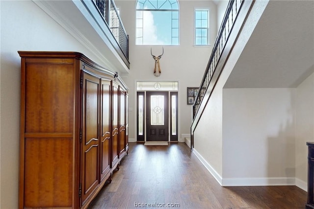 entrance foyer featuring hardwood / wood-style floors and a high ceiling