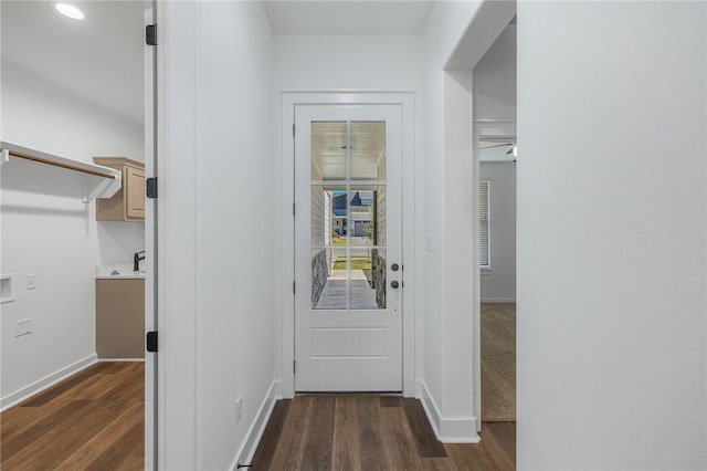 doorway featuring dark wood-type flooring