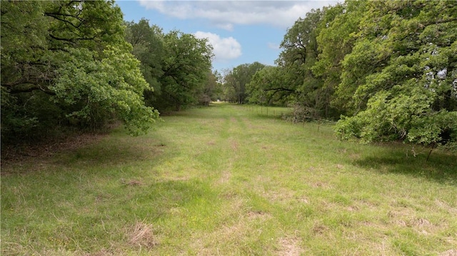 view of landscape with a wooded view