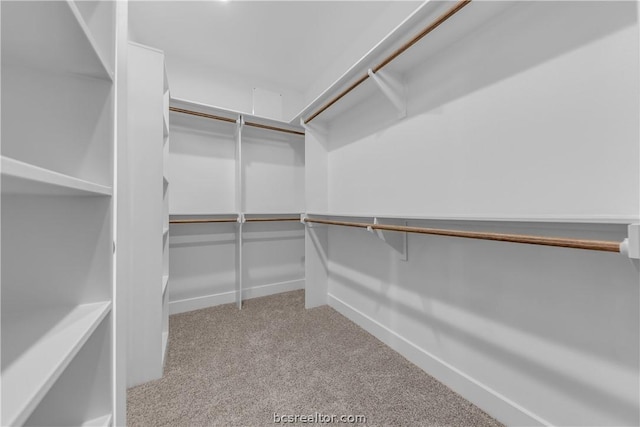 walk in closet with light carpet