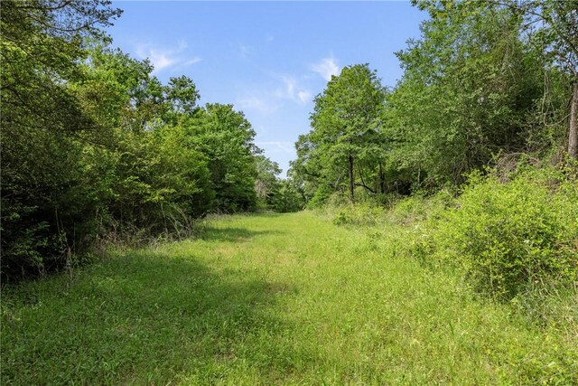 400AC Fm 2289, Normangee, TX 77871