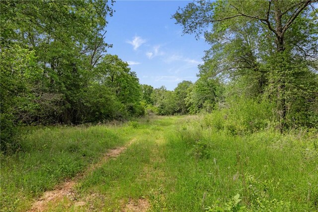 400AC Fm 2289, Normangee, TX 77871