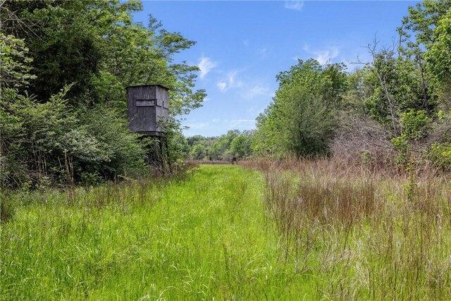 400AC Fm 2289, Normangee, TX 77871