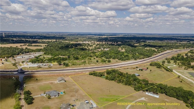 bird's eye view