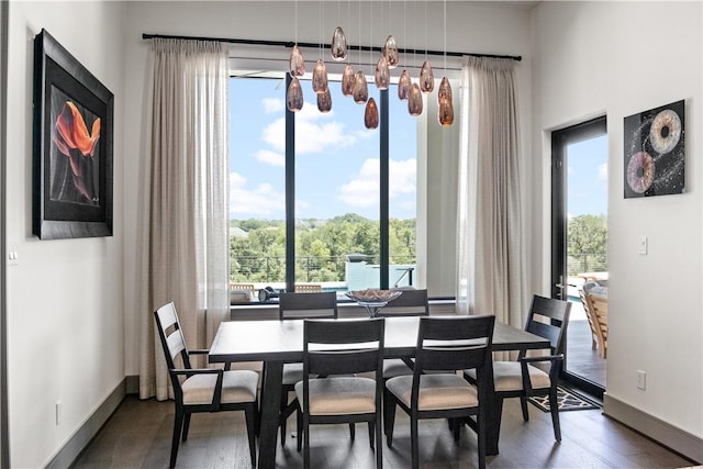 dining room with a wealth of natural light and dark hardwood / wood-style floors