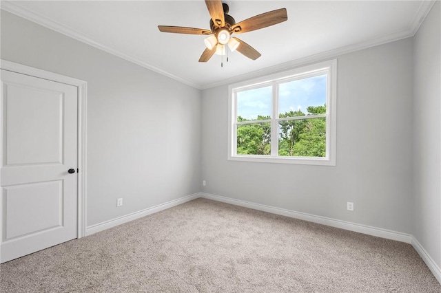 13291 Hopes Creek Rd, College Station, TX 77845 - photo 31