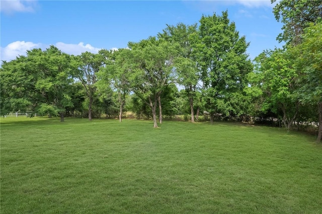 13291 Hopes Creek Rd, College Station, TX 77845 - photo 4