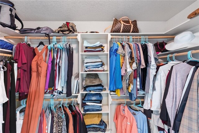 view of walk in closet